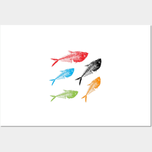 Fossil collector - fossil fish Posters and Art